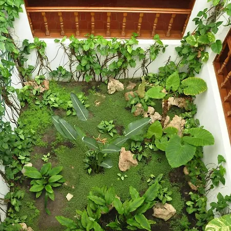 Holiday - Alg01104b-f בית נופש *